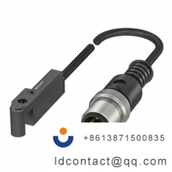 BMF0058_BALLUFF Cylinder Magnetic S